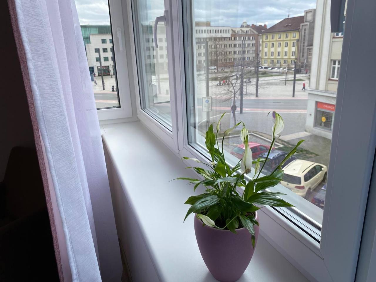 Ferienwohnung Perla Hradce 202 Hradec Králové Exterior foto